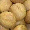 Almojábanas Tatacuana Tradicionales – Paquete de 12 Unidades (22g c/u)